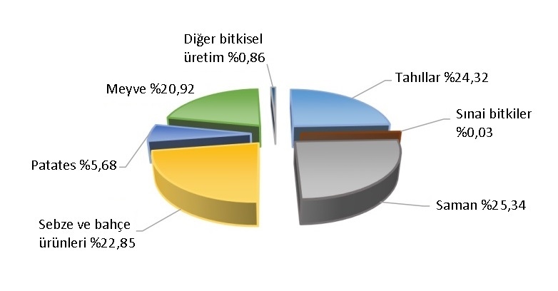 kosova-bitkisel-uretim-tablo